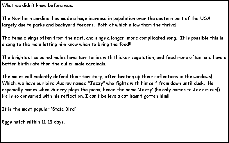 Text Box: What we didnt know before was:The Northern cardinal has made a huge increase in population over the eastern part of the USA, largely due to parks and backyard feeders.  Both of which allow them the thrive!  The female sings often from the nest, and sings a longer, more complicated song.  It is possible this is a song to the male letting him know when to bring the food!!  The brightest coloured males have territories with thicker vegetation, and feed more often, and have a better birth rate than the duller male cardinals.The males will violently defend their territory, often beating up their reflections in the windows!  Which, we have our bird Audrey named Jazzy who fights with himself from dawn until dusk.  He especially comes when Audrey plays the piano, hence the name Jazzy (he only comes to Jazz music!)  He is so consumed with his reflection, I cant believe a cat hasnt gotten him!!  It is the most popular State BirdEggs hatch within 11-13 days.